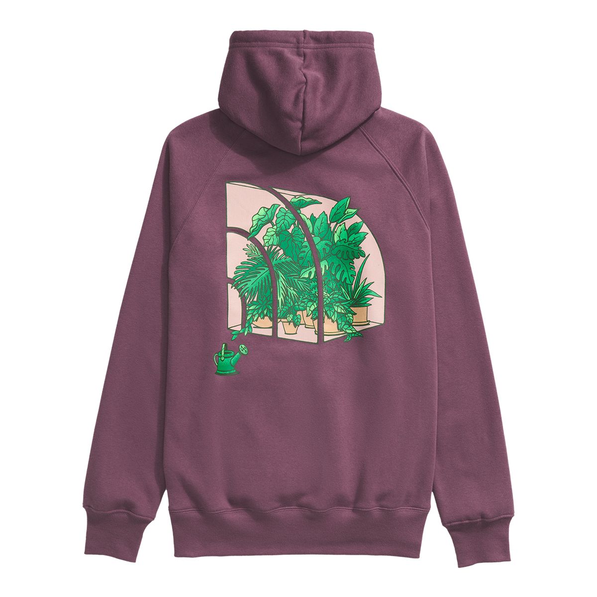 The North Face Women's Crown Shyness Pullover Hoodie