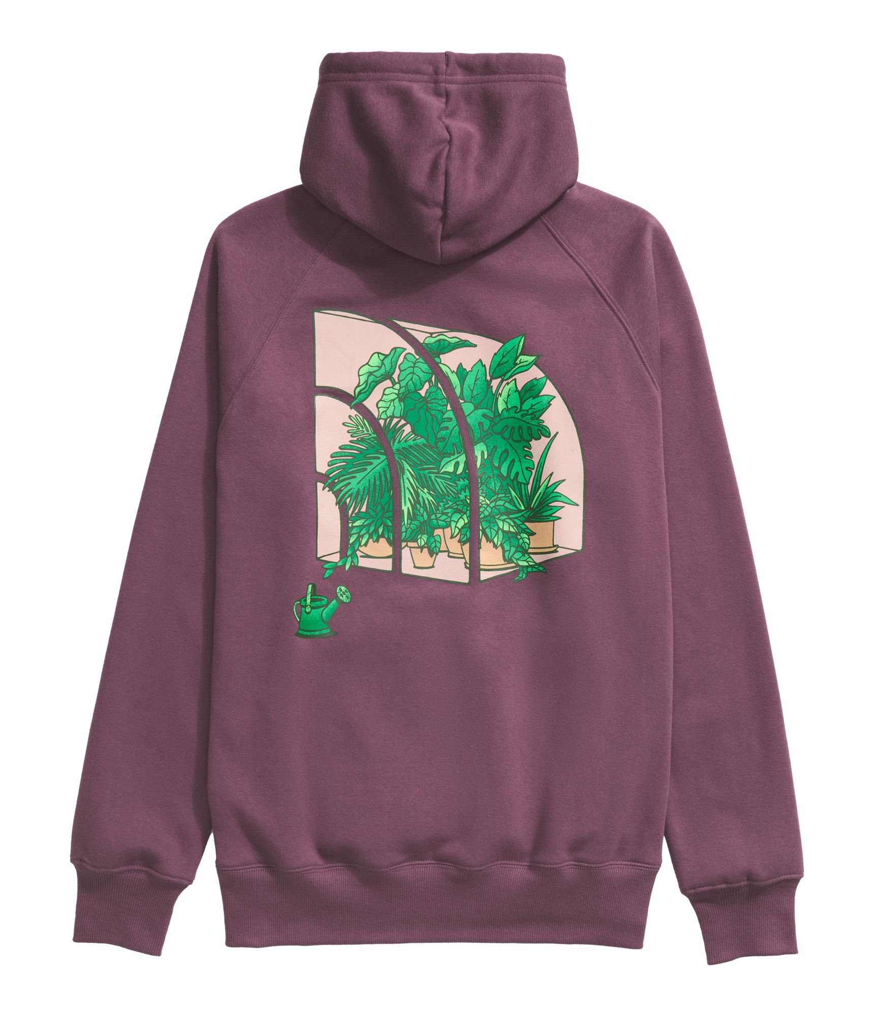 The North Face Women's Crown Shyness Pullover Hoodie