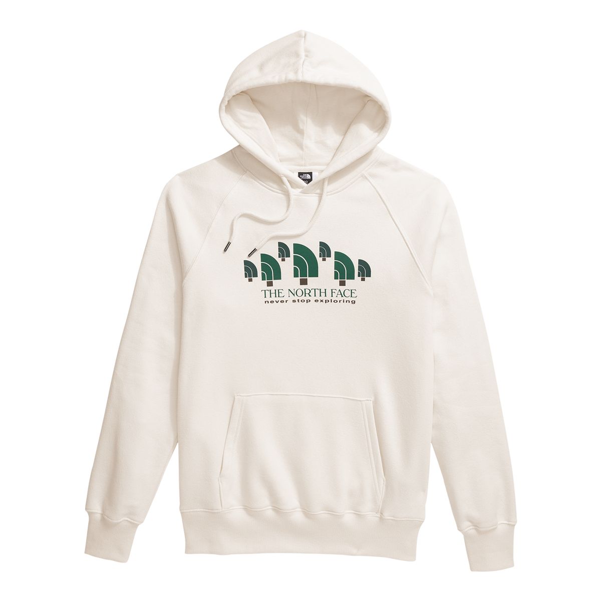 The North Face Women's Crown Shyness Pullover Hoodie