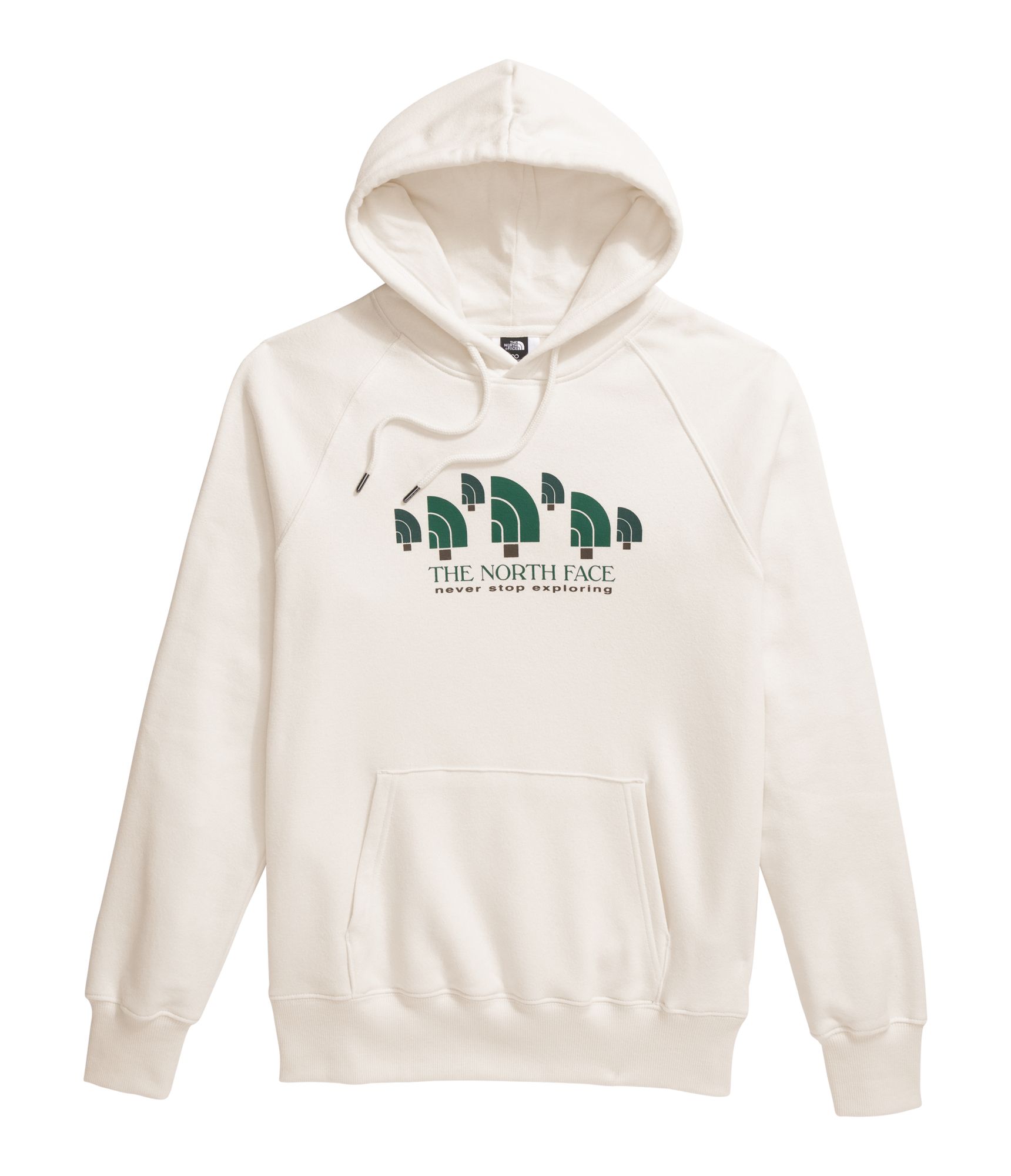 The North Face Women's Crown Shyness Pullover Hoodie