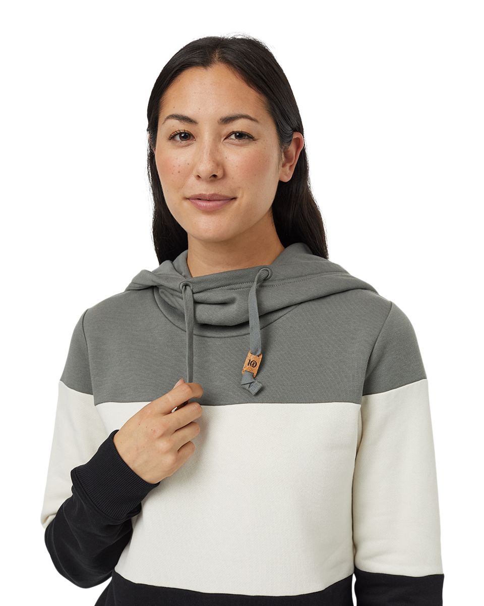 Tentree Women's TreeFleece Blocked Banshee Hoodie