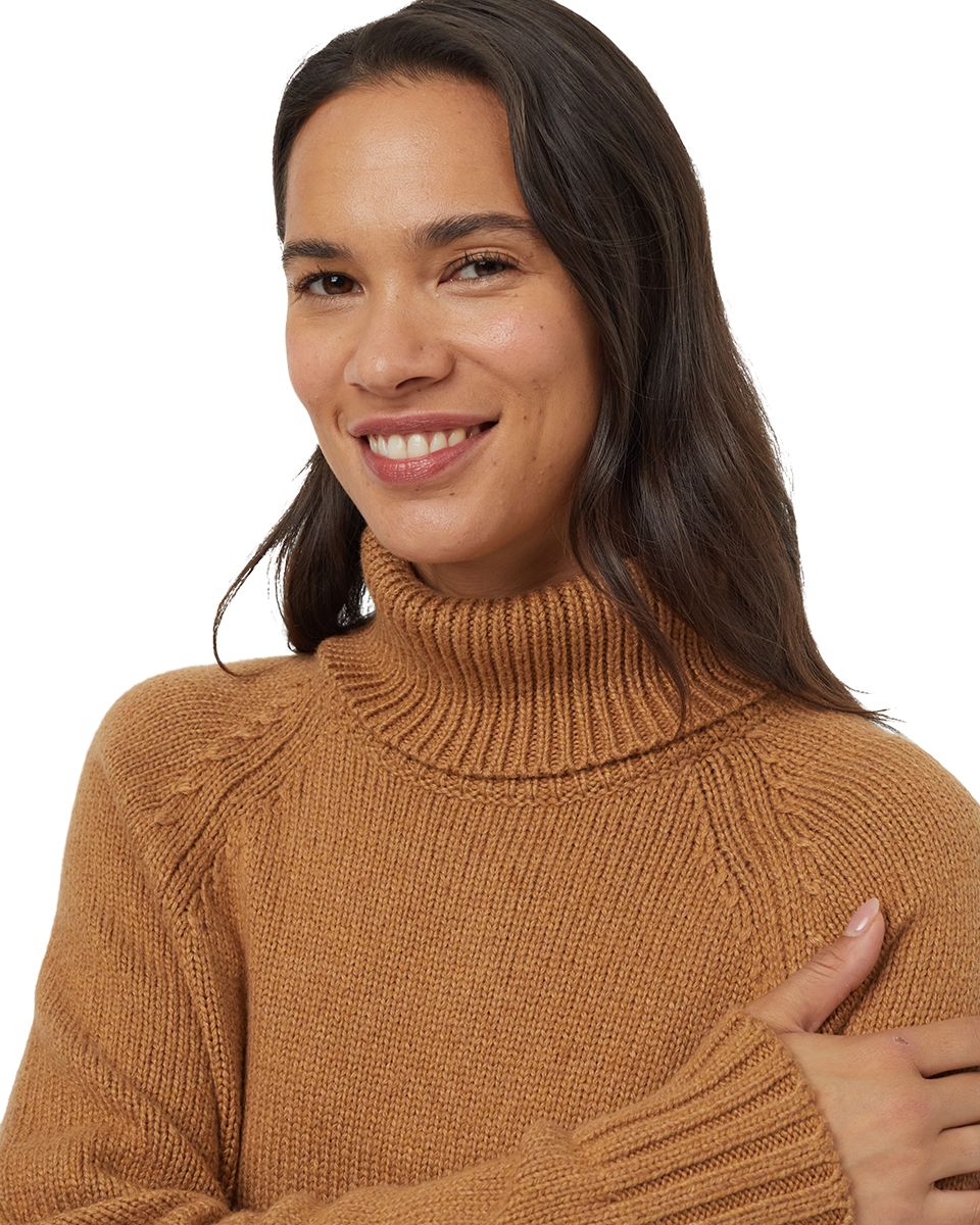 Tentree Women's Highline Wool Turtleneck Sweater