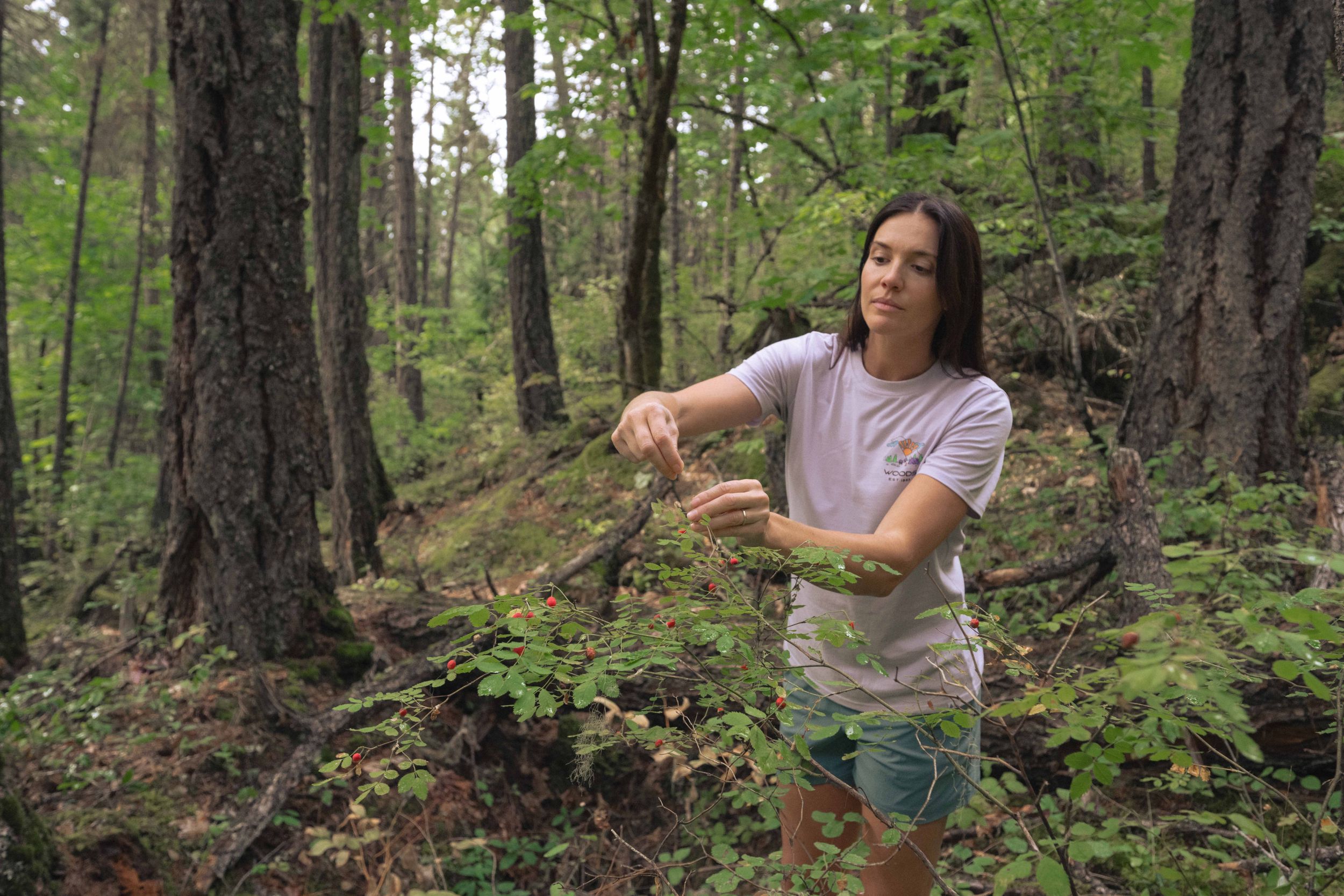 Woods Women's Cayley Tent T Shirt