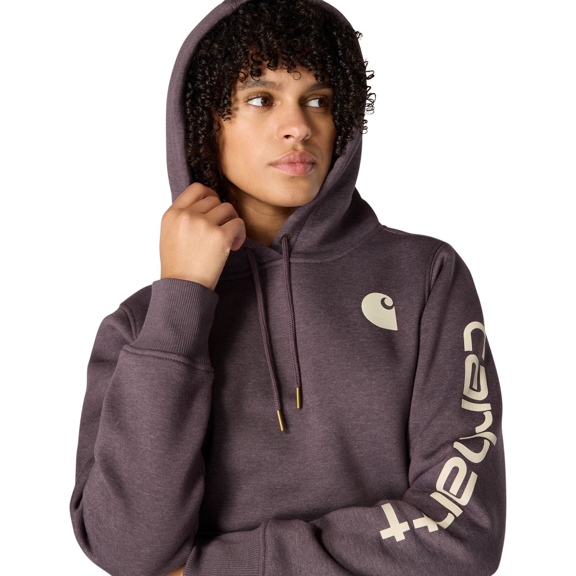 Carhartt Women's Logo Sleeve Pullover Hoodie