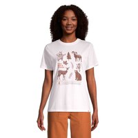Woods Women's Cayley T Shirt