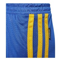adidas Boys' Legend Basketball Shorts, Kids', Mesh, Elastic Waistband, Pockets CloseUp