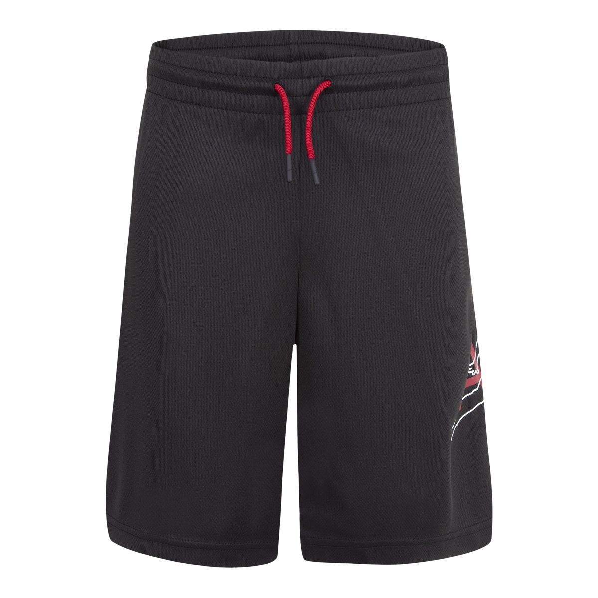 Jordan Boys' Jumpman Big Air Mesh Shorts