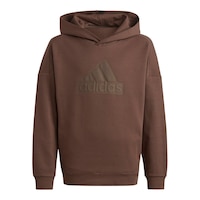 adidas Boys' FI Badge Of Sport Logo Pullover Hoodie Front_Flat