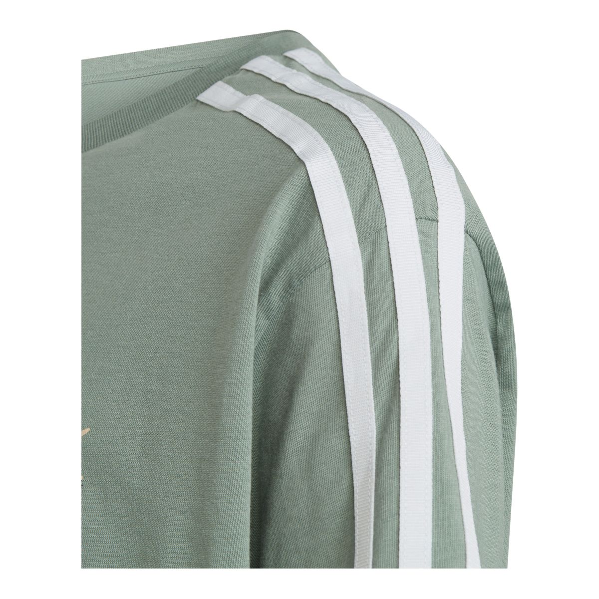 adidas Boys' Crop T Shirt