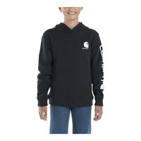 Carhartt Youth Unisex Logo Graphic Hoodie Sweatshirt Front_Flat