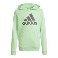 adidas Boys' Big Logo Pullover Hoodie Front_Flat