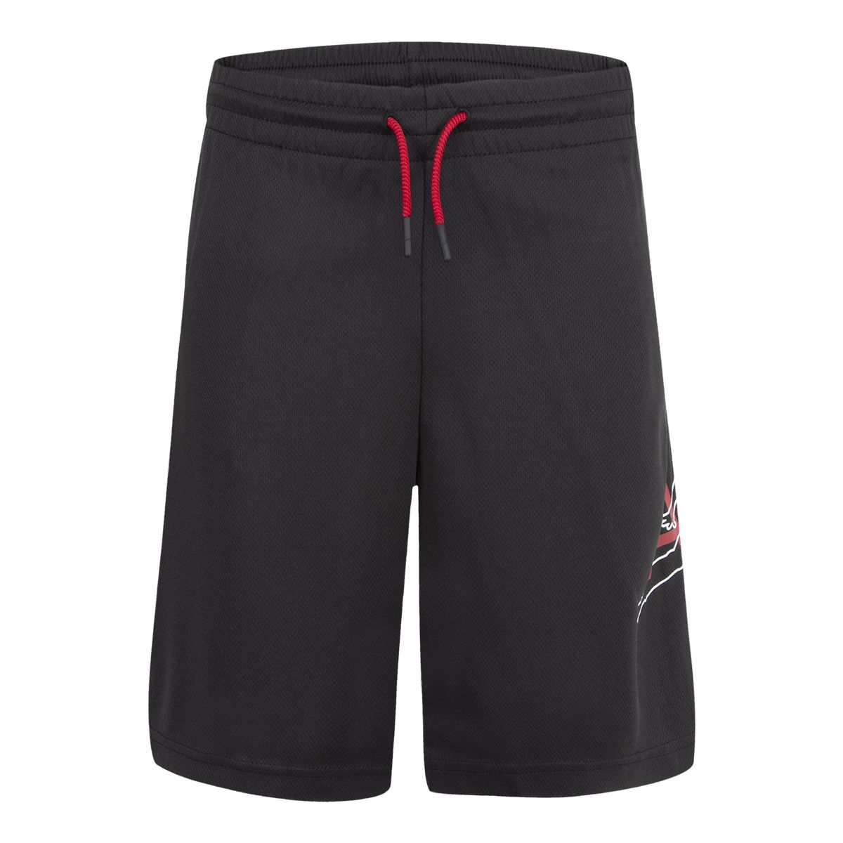 Jordan Boys' Jumpman Big Air Mesh Shorts