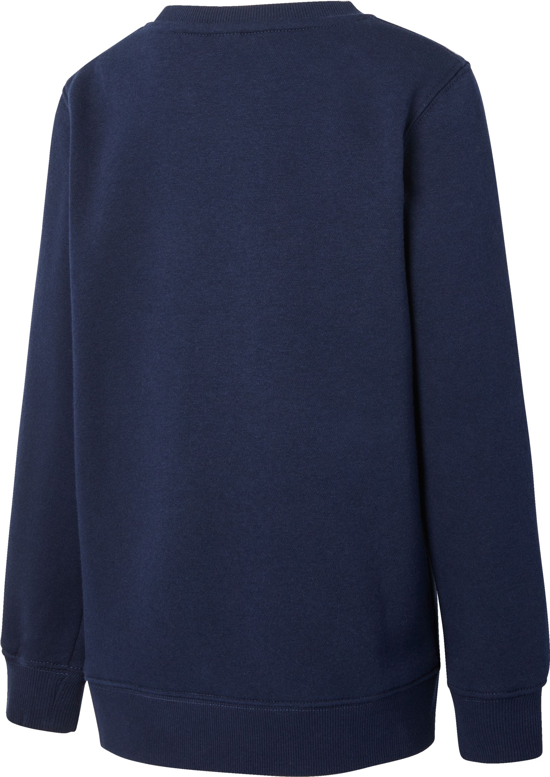 Ripzone Boys' Cariboo Fleece Sweatshirt