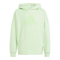 adidas Kids' Badge of Sport Logo Pullover Hoodie Front_Flat