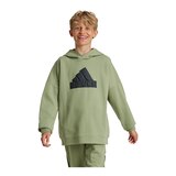 adidas Boys' Future Icons Logo Hoodie Front_Flat