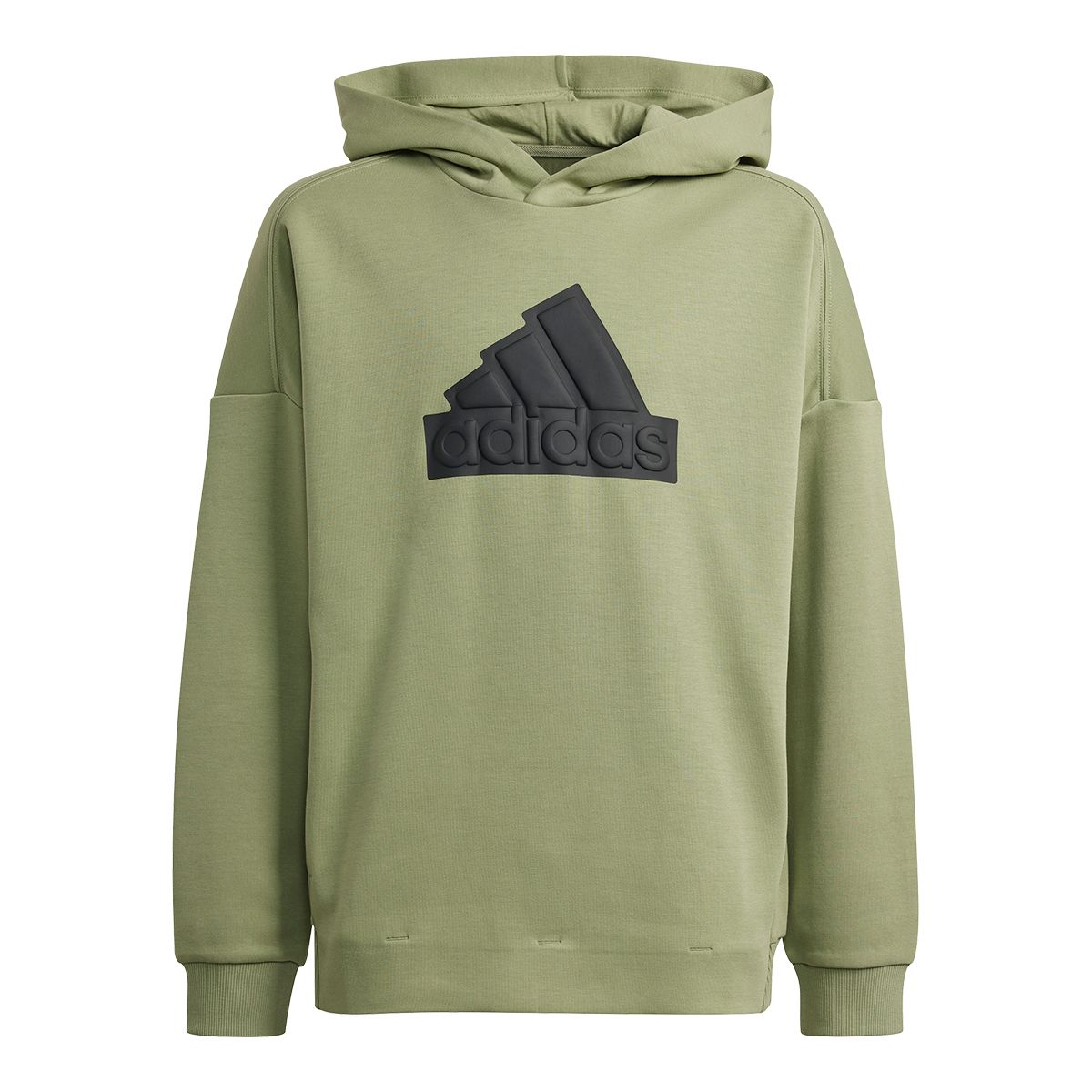 adidas Boys' Future Icons Logo Hoodie | SportChek