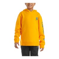 Carhartt Kids' Graphic Pullover Hoodie Front_Flat