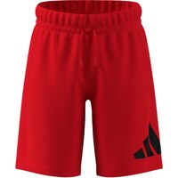 adidas Kids' Essentials Big Logo Shorts Front_Flat