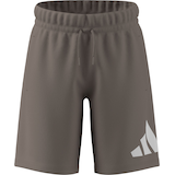 adidas Kids' Essentials Big Logo Shorts Front_Flat