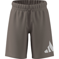 adidas Kids' Essentials Big Logo Shorts Front_Flat