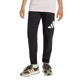 adidas Kids' Big Logo French Terry Pants Front_Flat