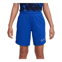 Nike Boys' Dri-FIT Trophy23 Shorts