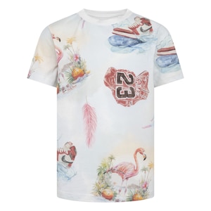 Jordan Boys' Flamingo All Over Print T Shirt