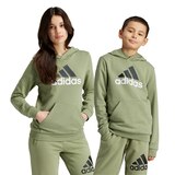 adidas Boys' Big Logo Hoodie Front_Flat