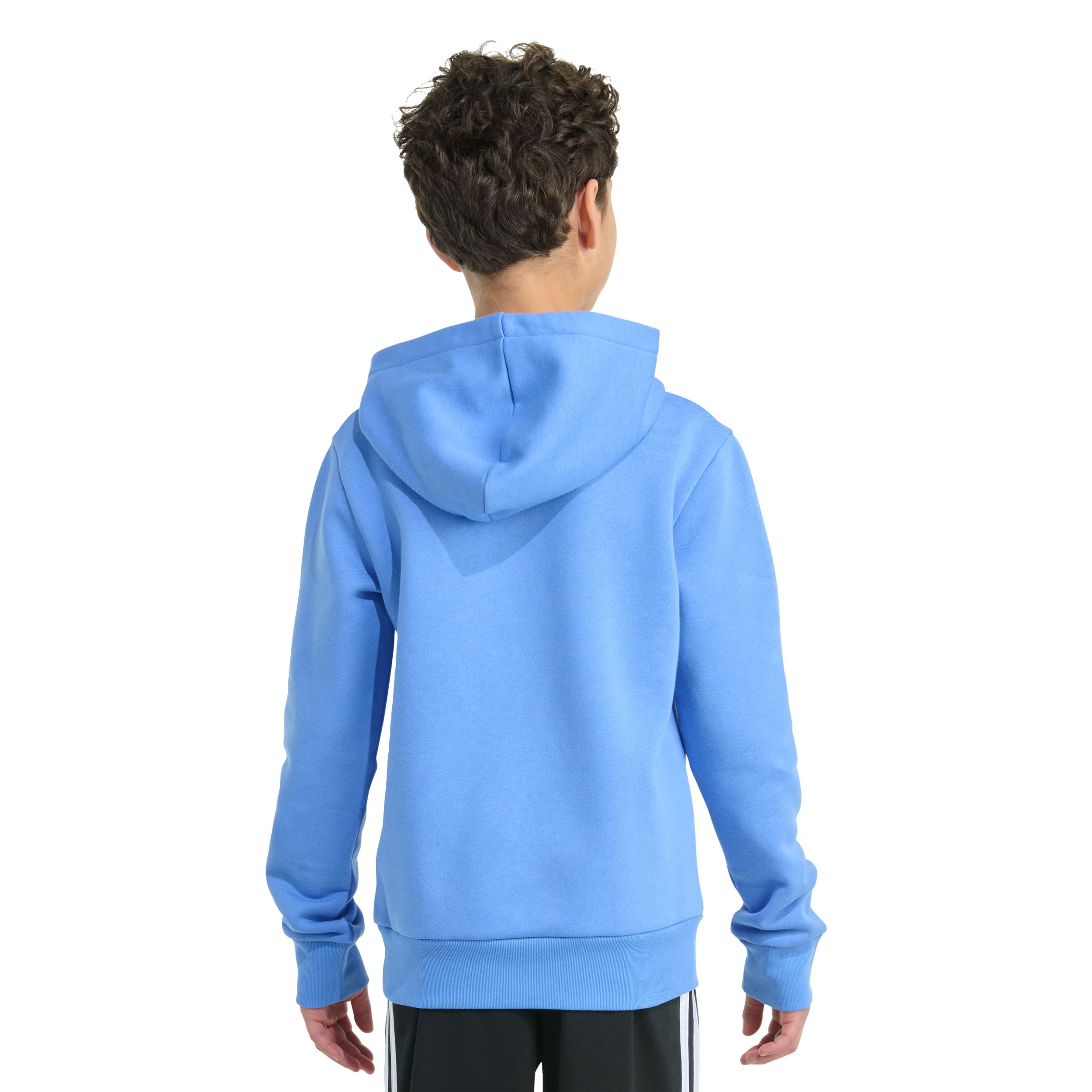adidas Boys' Essentials Fleece Logo Hoodie
