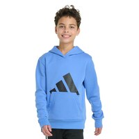 adidas Boys' Essentials Fleece Logo Hoodie
