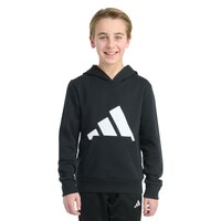 adidas Boys' Essentials Fleece Logo Hoodie Front_Flat