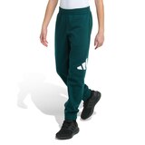 adidas Kids' Big Logo Fleece Pants Front_Angled_Left
