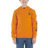 Carhartt Kids' Graphic Fill Pullover Hoodie Front_Flat
