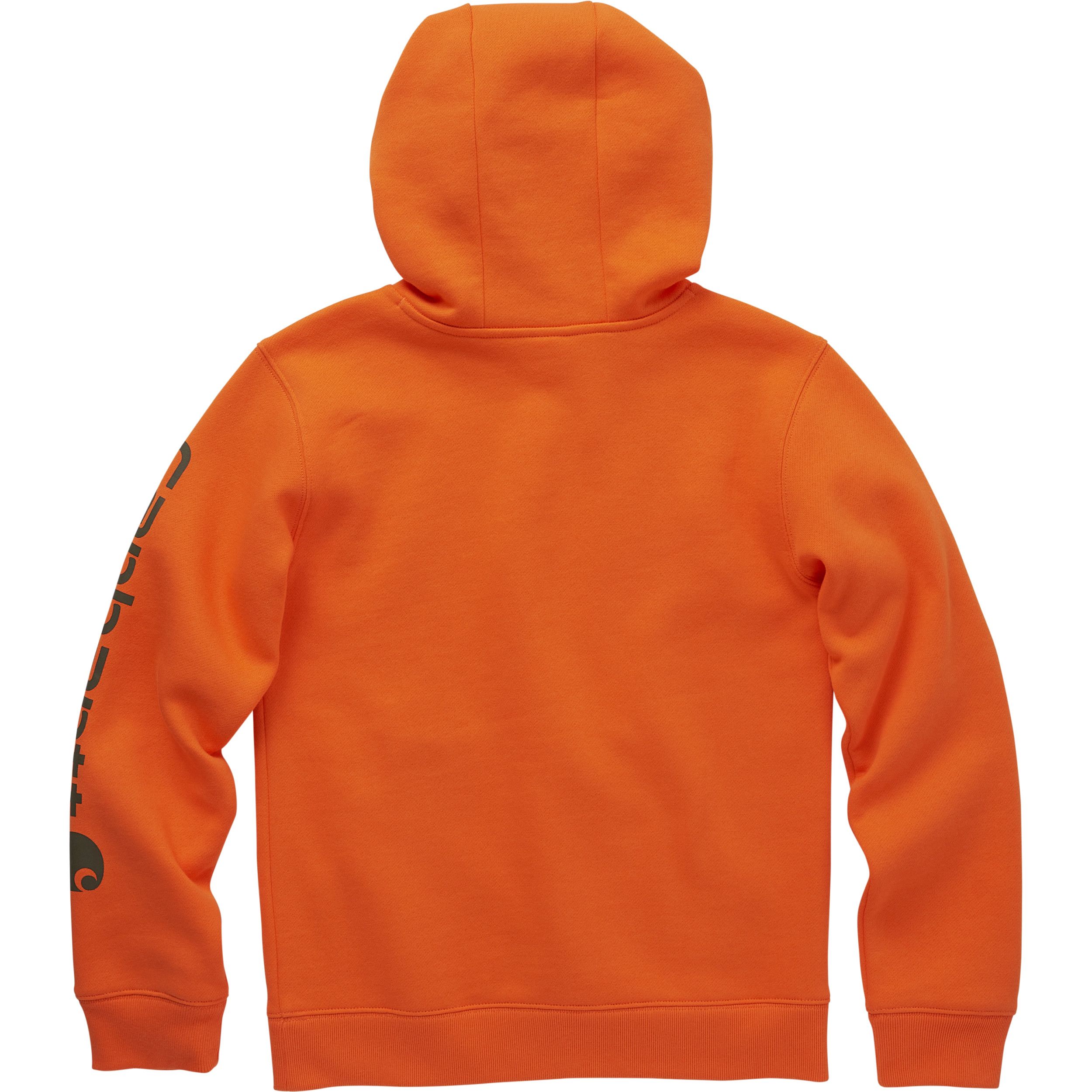 Carhartt Kids' Graphic Fill Pullover Hoodie