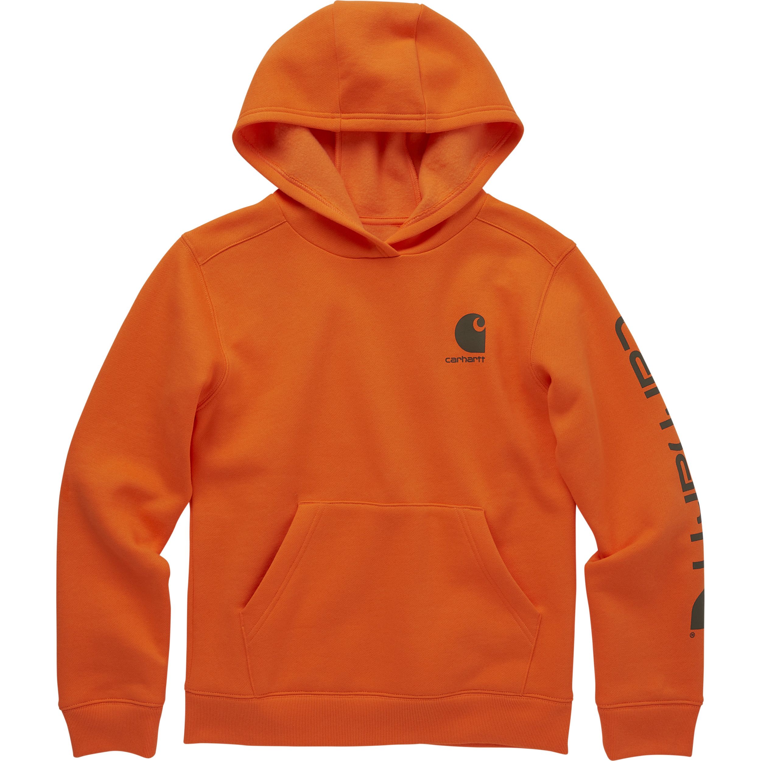 Carhartt Kids' Graphic Fill Pullover Hoodie