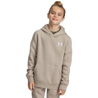 Under Armour Kids' Essential Fleece Hoodie