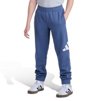 adidas Boys' Essentials Big Logo Fleece Pants