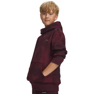 Under Armour Boys' Icon Fleece Washed Hoodie