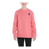 Carhartt Kids' Graphic Long Sleeve Hoodie Front_Flat