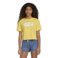 Levi's Kids' Meet and Greet Batwing T Shirt Front_Flat