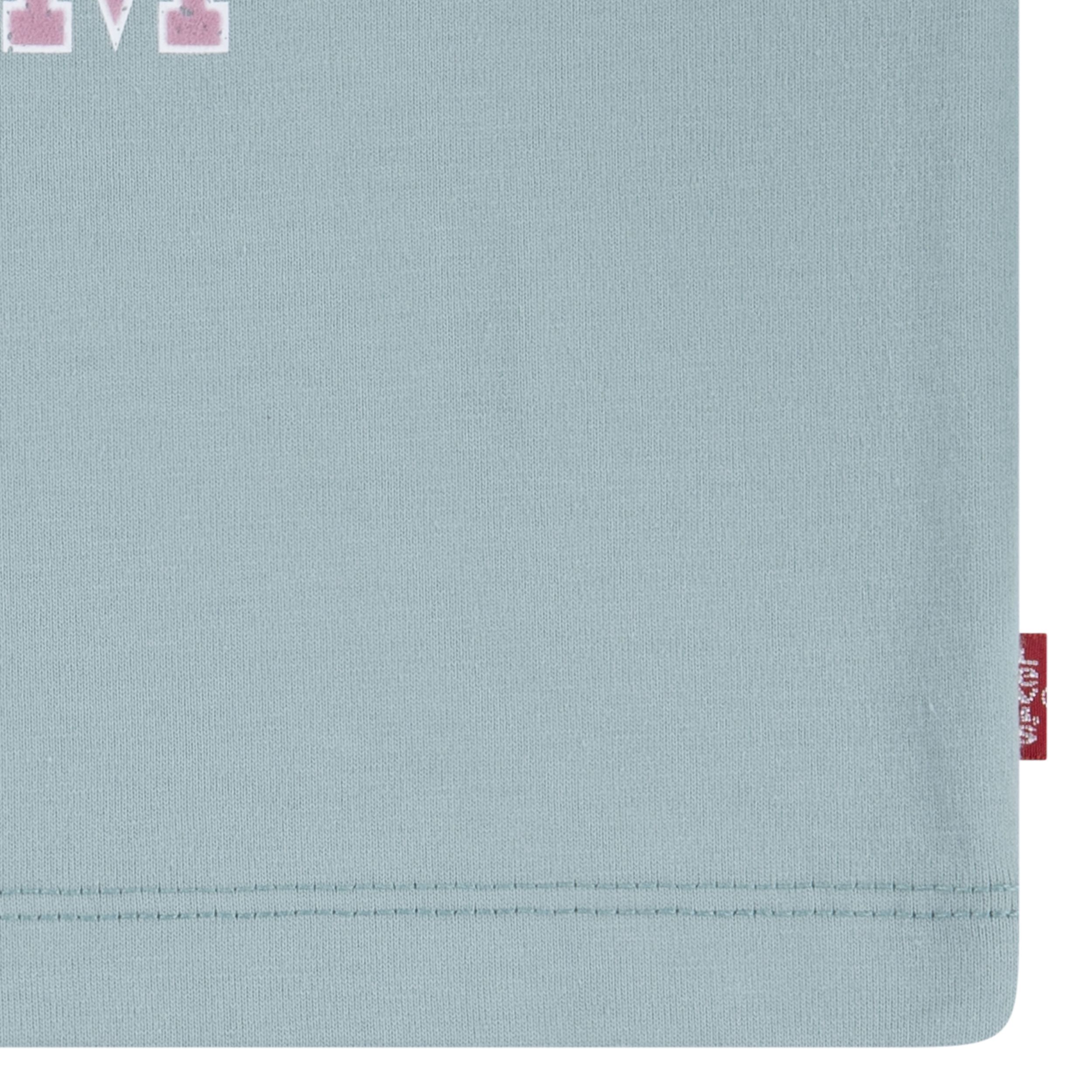 Levi's Kids' Unisex Meet and Greet Collegiate Short Sleeve T Shirt