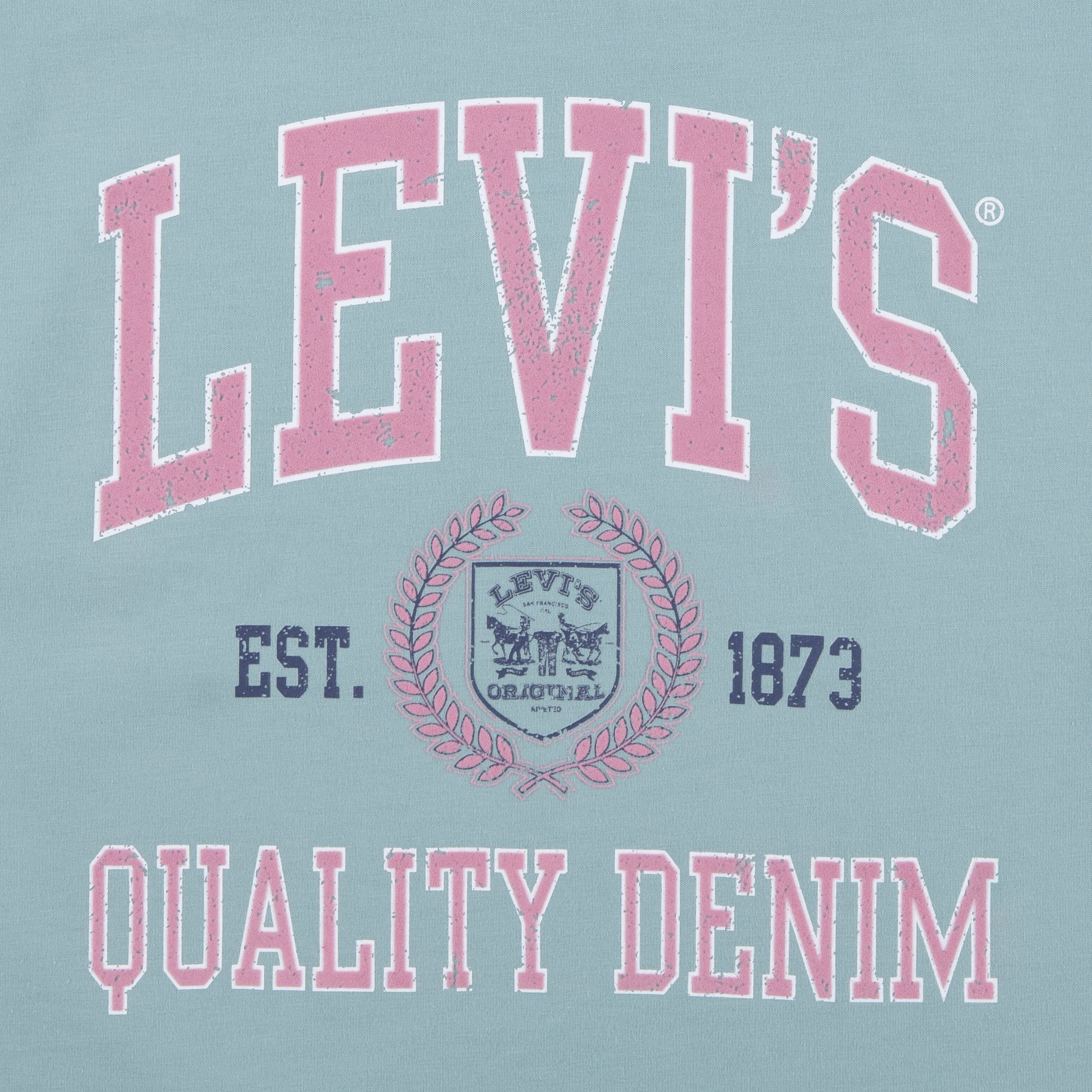 Levi's Kids' Unisex Meet and Greet Collegiate Short Sleeve T Shirt