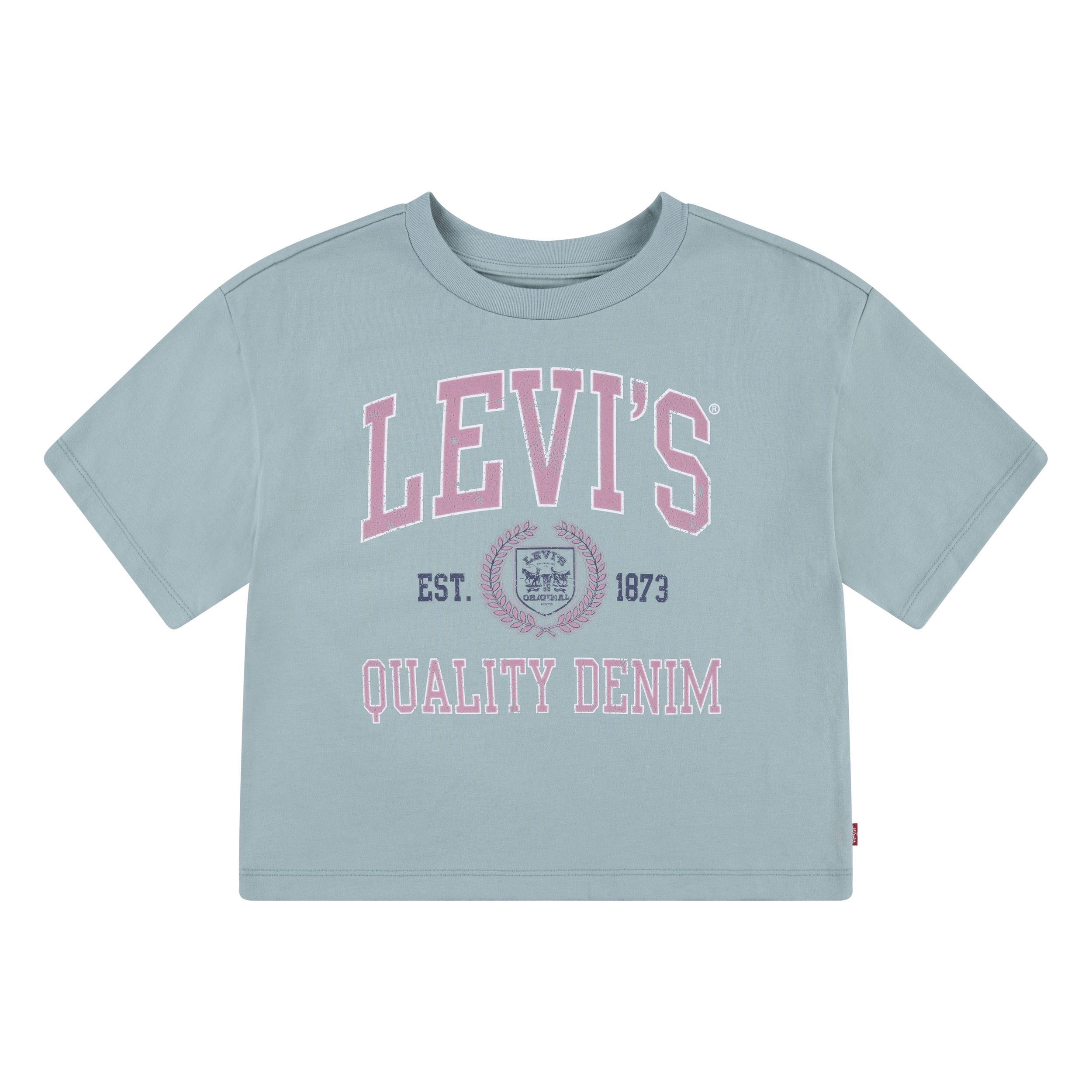 Levi's Kids' Unisex Meet and Greet Collegiate Short Sleeve T Shirt