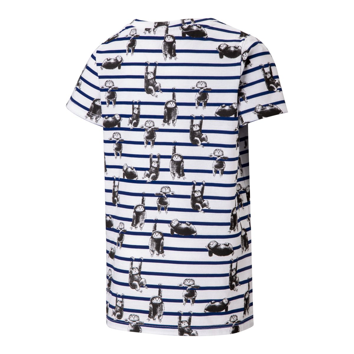 Ripzone Boys' 2-6 Carsten All Over Print T Shirt