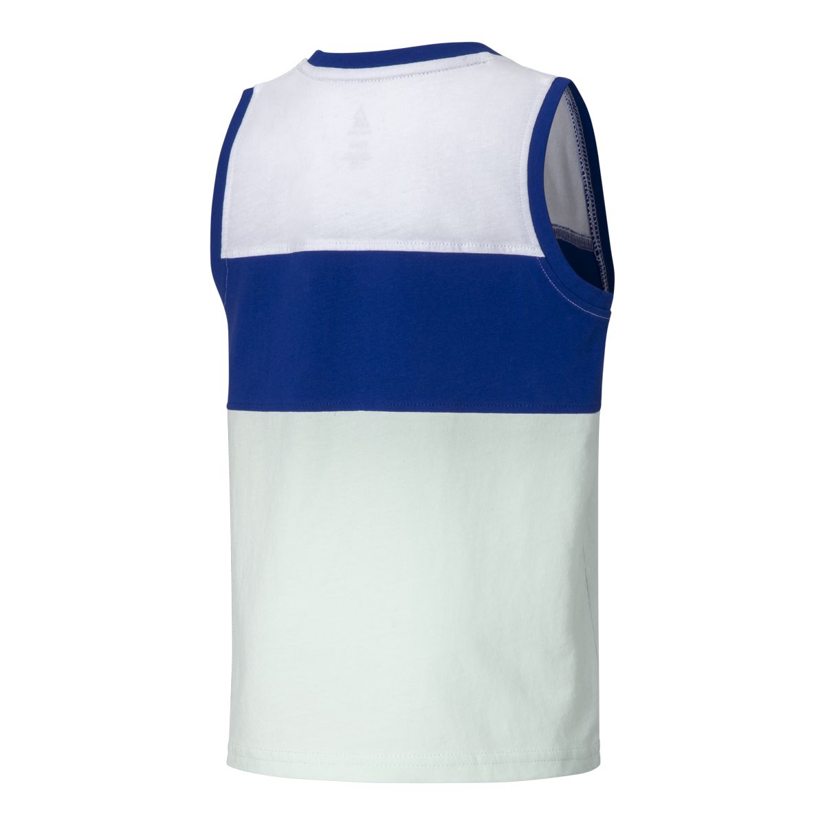 Ripzone Boys' 2-6 Perrailt Colorblock Tank
