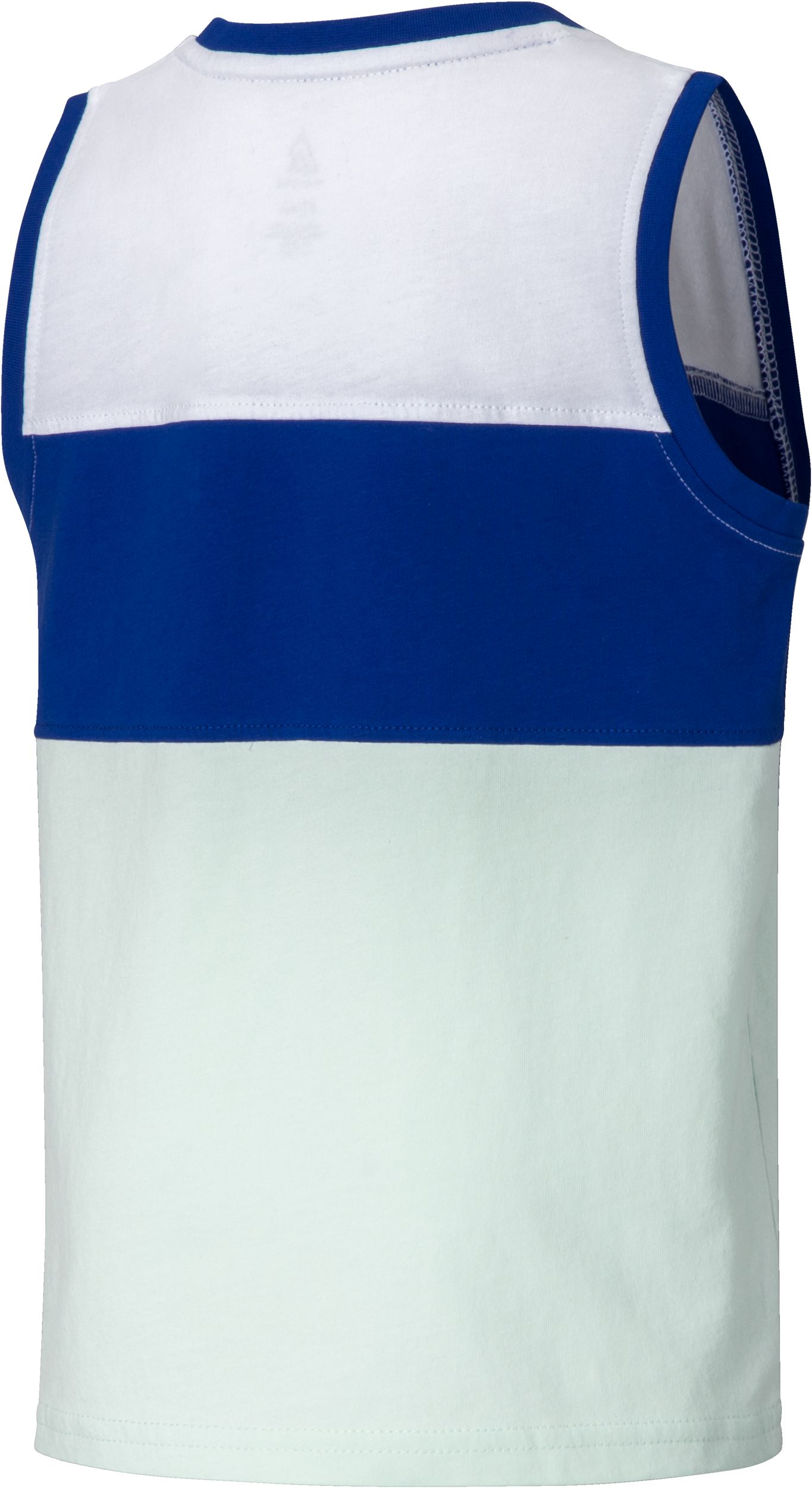 Ripzone Boys' 2-6 Perrailt Colorblock Tank