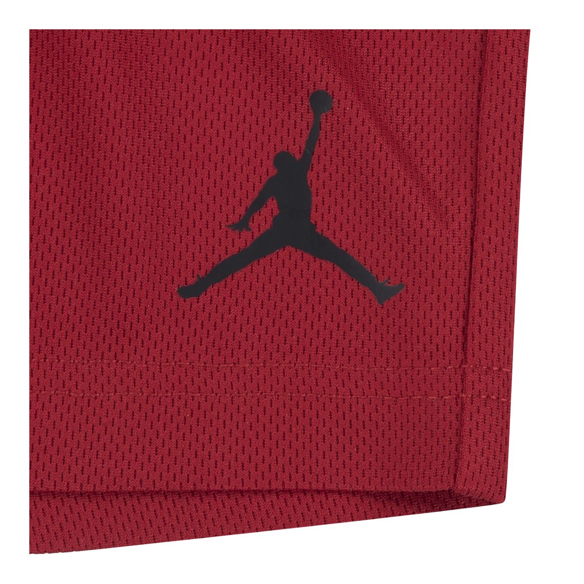 Jordan Boys' Toddler Jumpman Tour T Shirt And Shorts Set