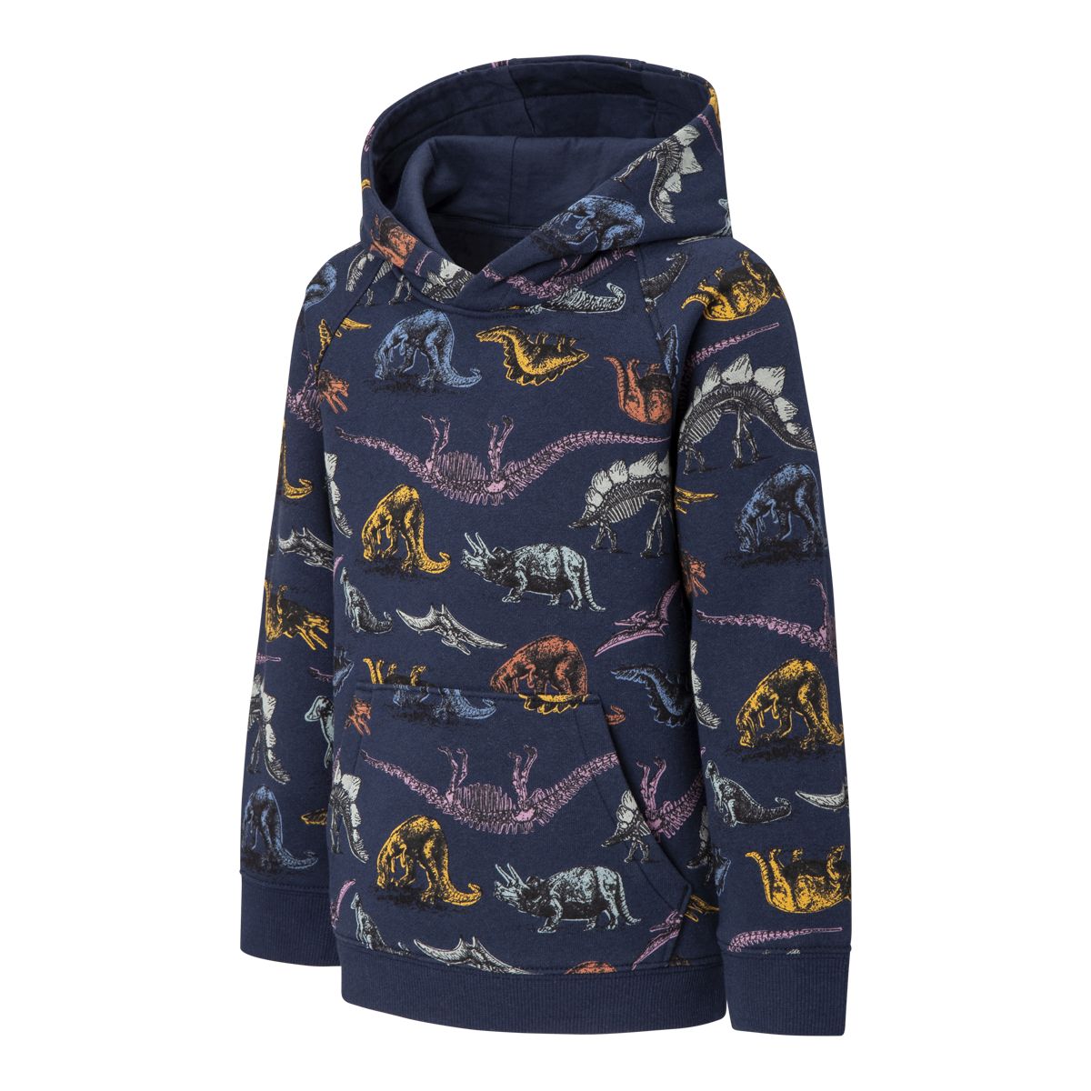 Ripzone Boys' 2-6 Greystone All Over Print Pullover Hoodie