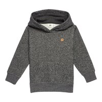 Tentree Toddler Boys' 2-5 Classic Pullover Hoodie Front_Flat