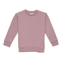 Tentree Toddler Kids' 18M-5T Treefleece Sweatshirt Front_Flat